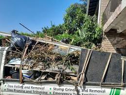 Best Electronics and E-Waste Disposal  in Phillipsburg, KS